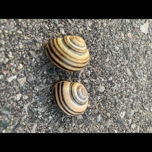 Meet your Posher, Nova